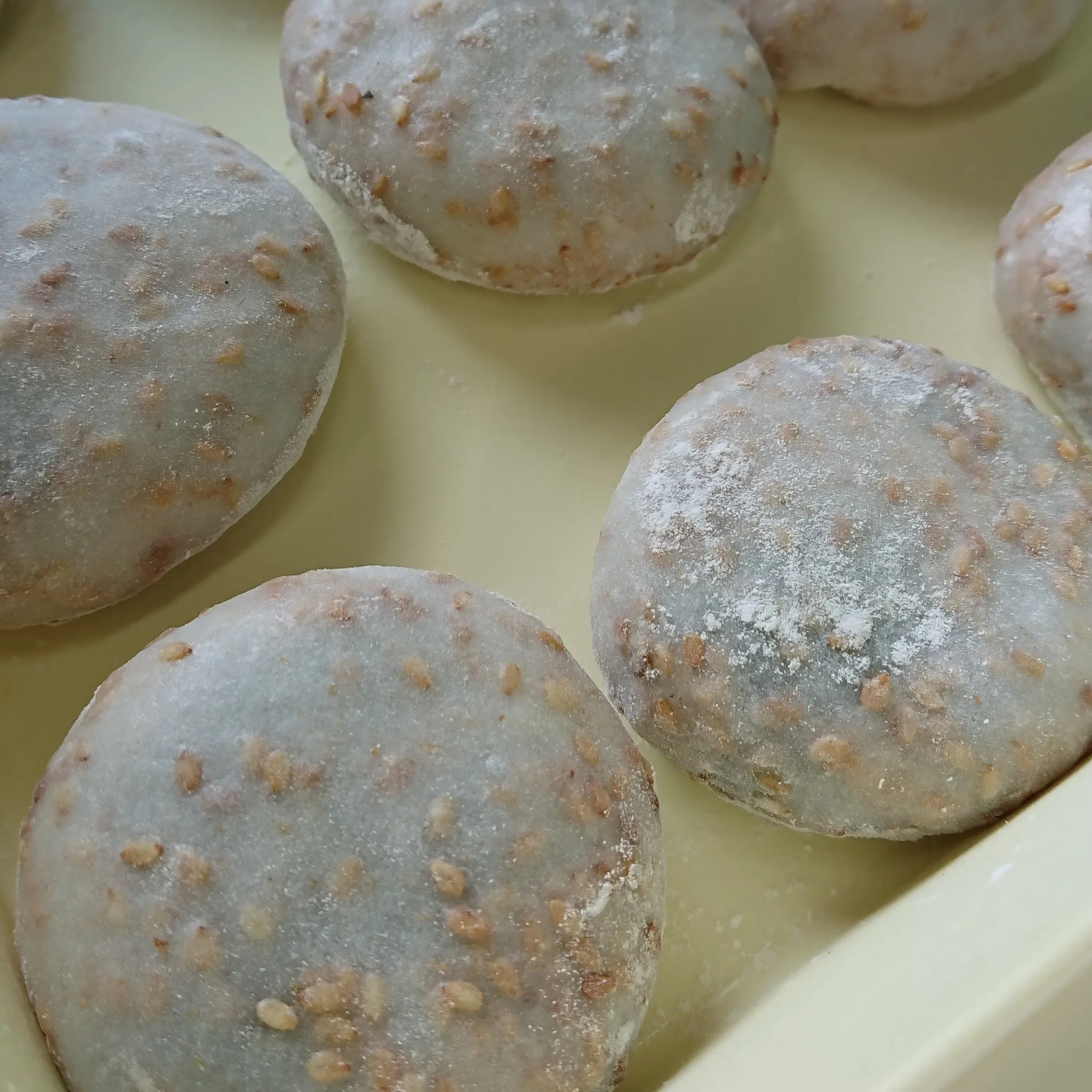 おはようございます。